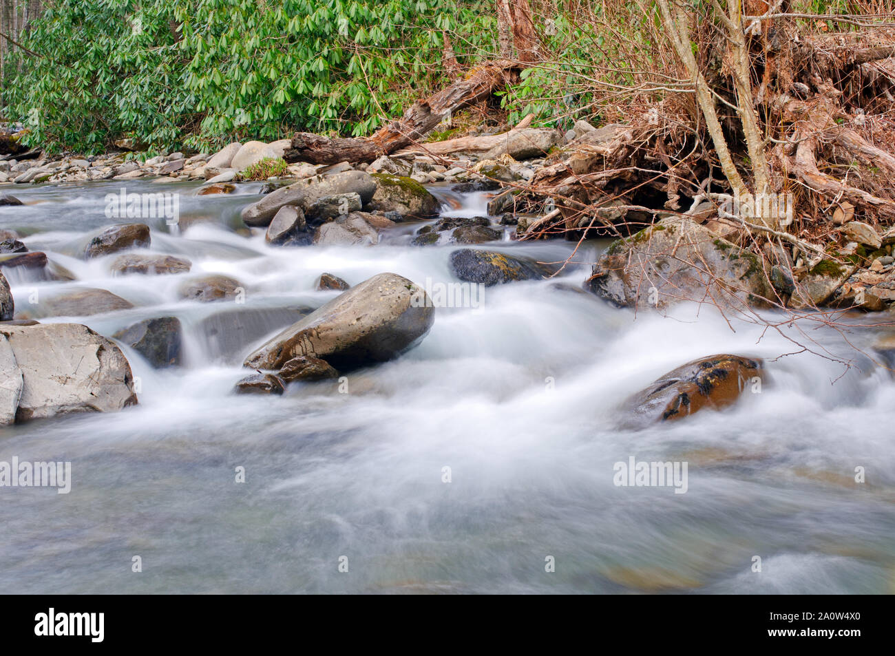 Cabin Creek In The Smoky Mountains In North Carolina Stock Photo