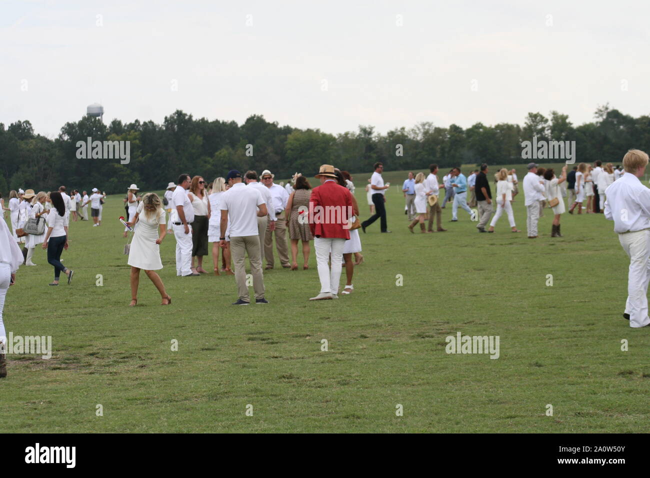 Glennon gallop hi-res stock photography and images - Alamy