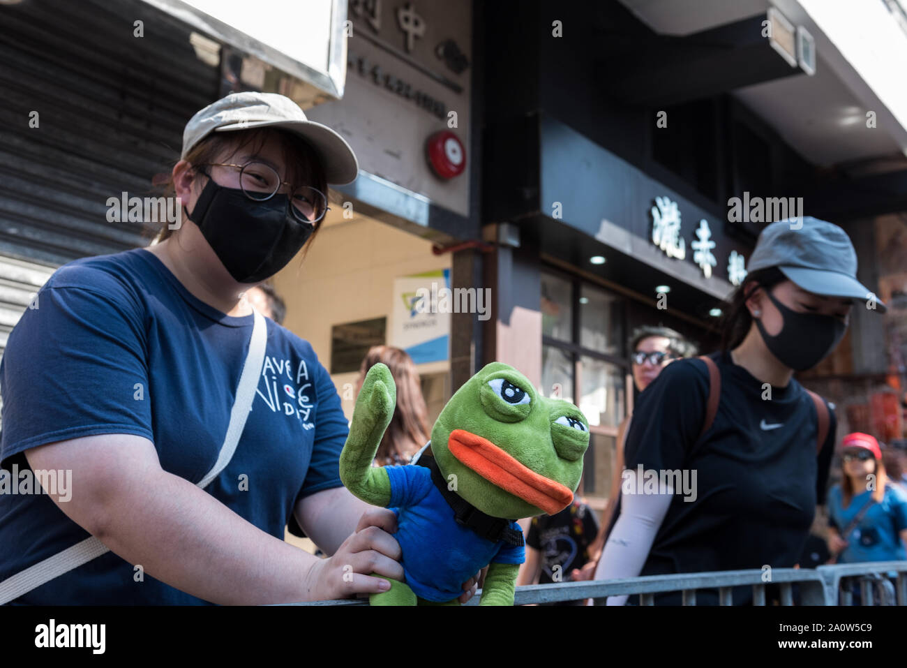 Bricks with small frog hi-res stock photography and images - Alamy