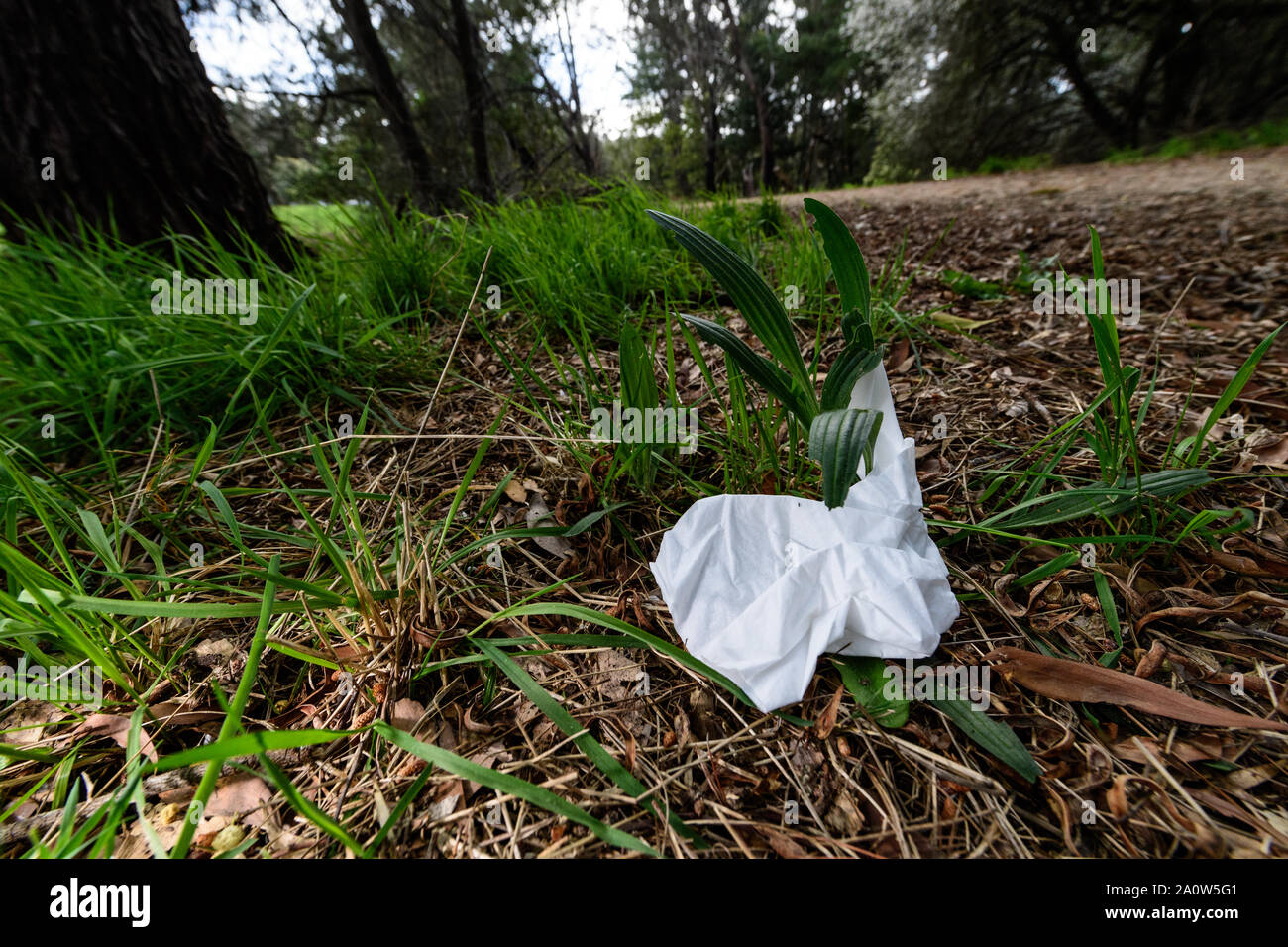 Discuared Discarded Bicycle High Resolution Stock Photography and Images - Alamy