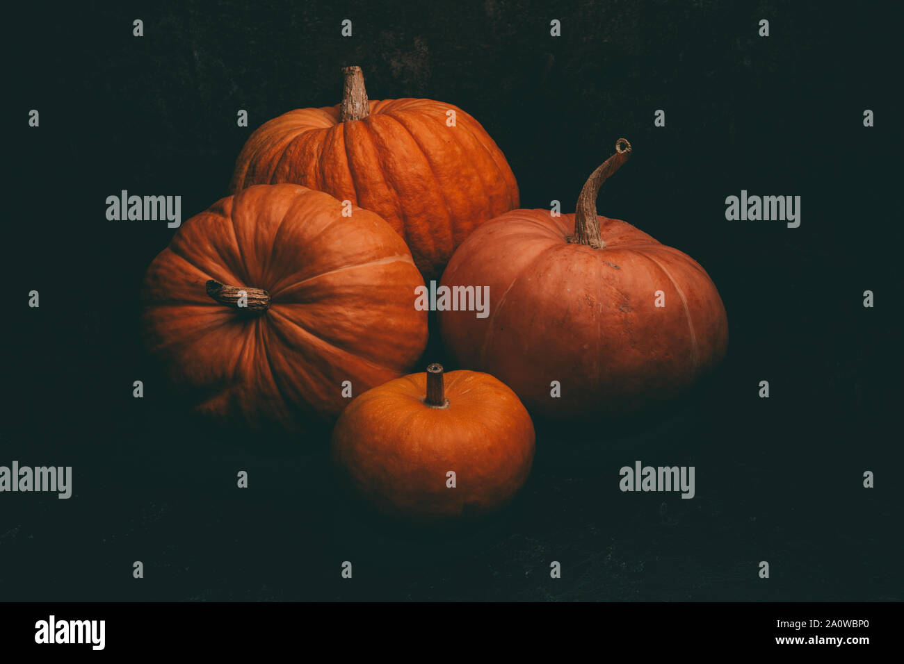 Photo of four orange pumpkins on blank black background, halloween ...