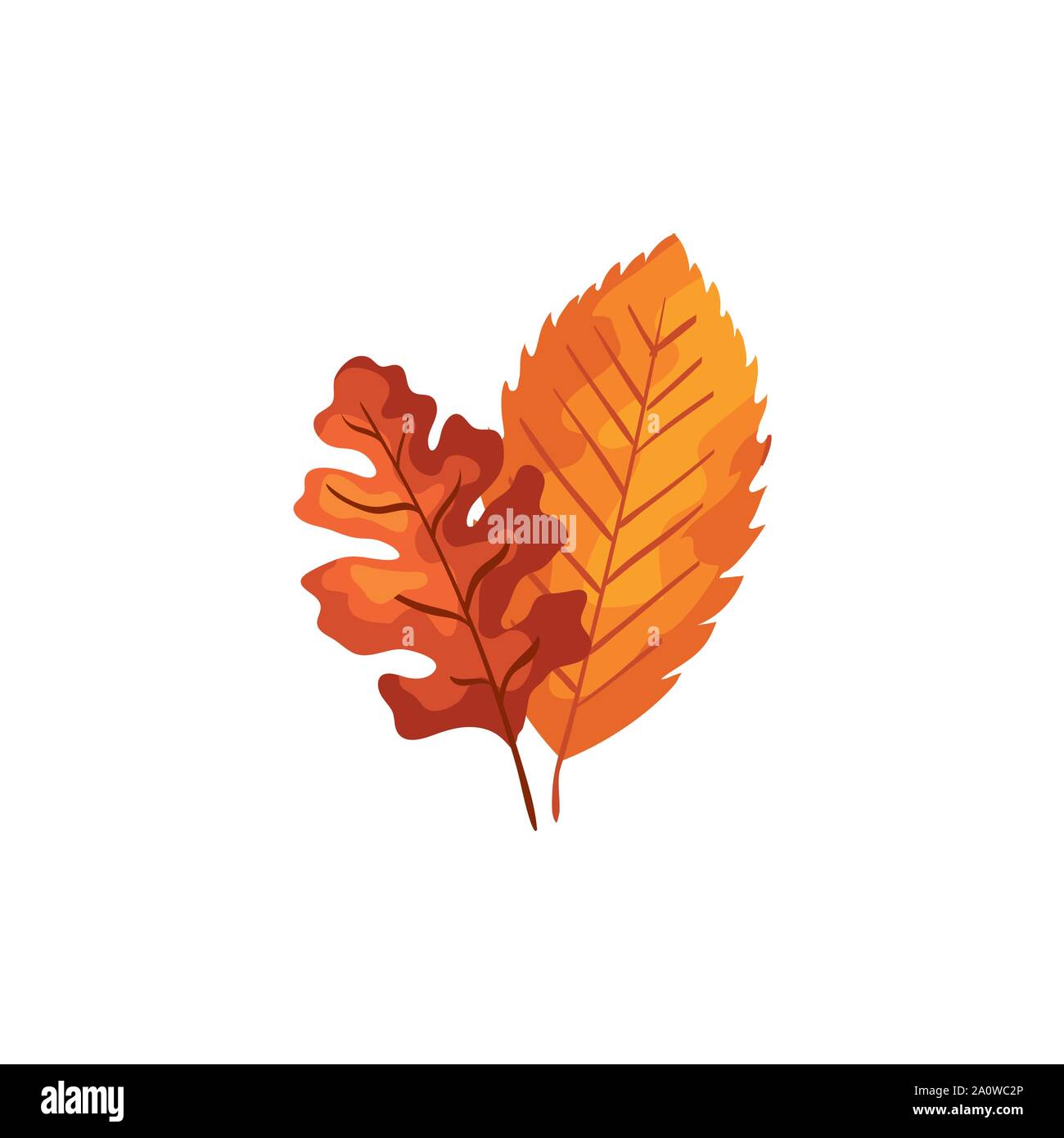 season autumn leafs isolated icon Stock Vector Image & Art - Alamy