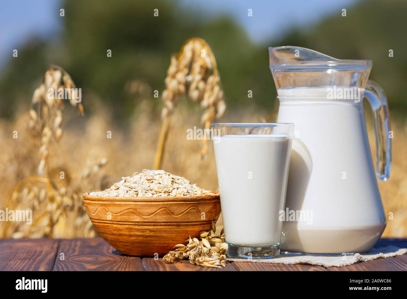 vegan oat milk in glass jug with uncooked oatmeal in bowl on table over against ripe cereal field Stock Photo