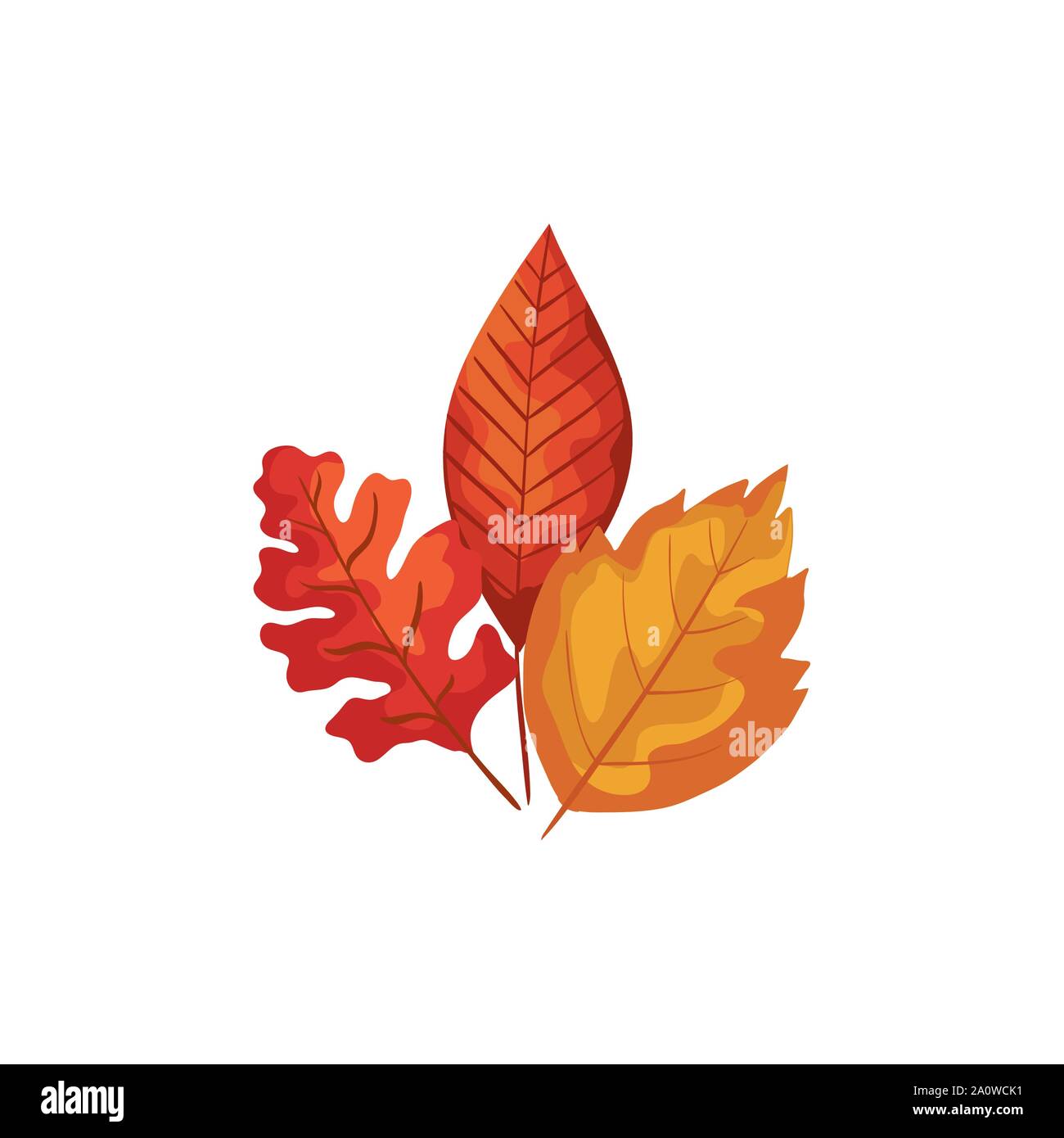 season autumn leafs isolated icon Stock Vector Image & Art - Alamy