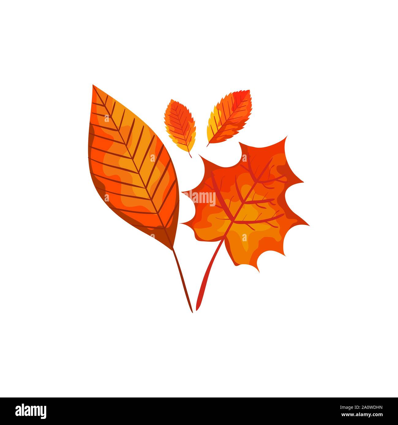 season autumn leafs isolated icon Stock Vector Image & Art - Alamy