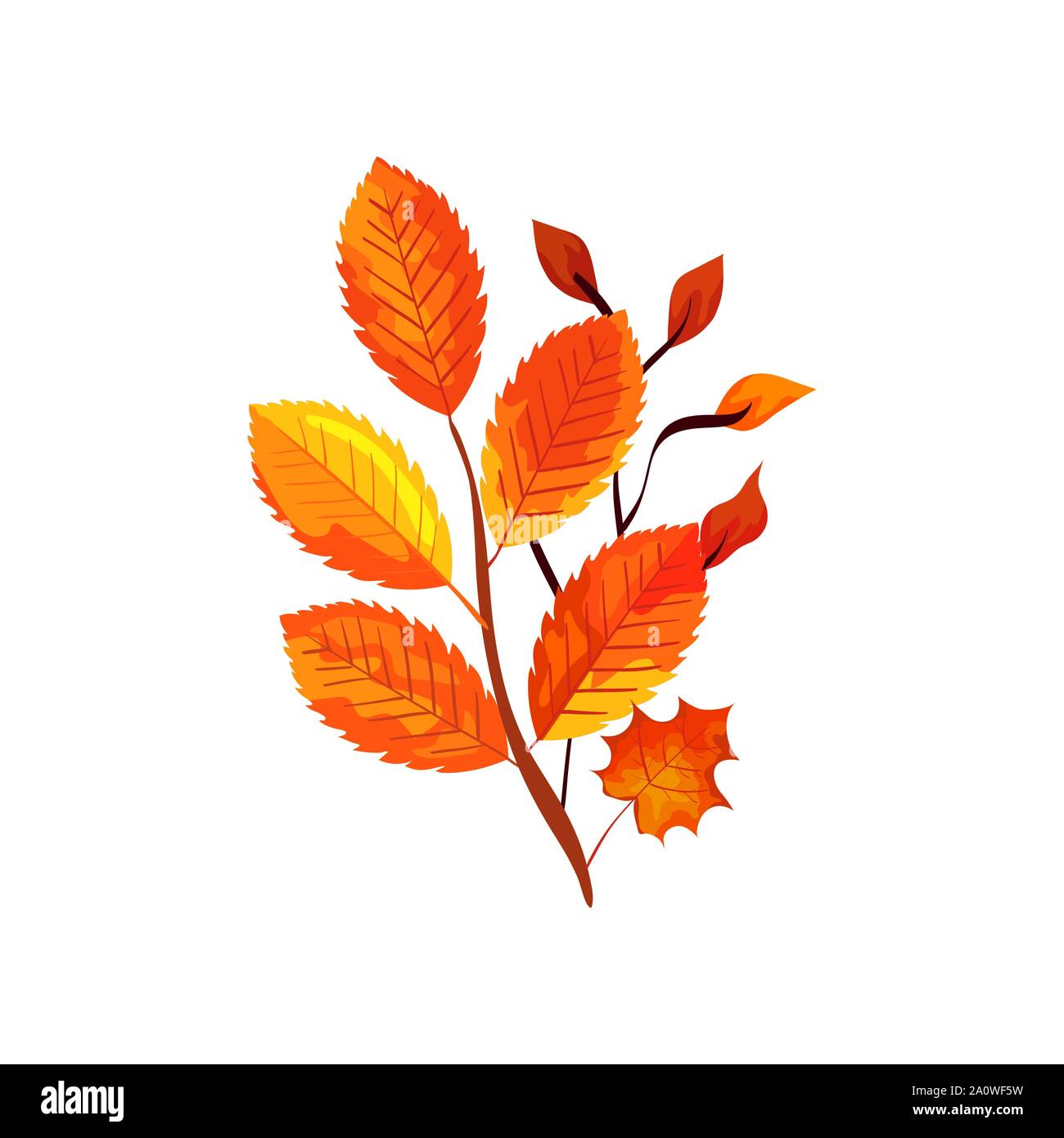 season autumn branches with leafs Stock Vector Image & Art - Alamy