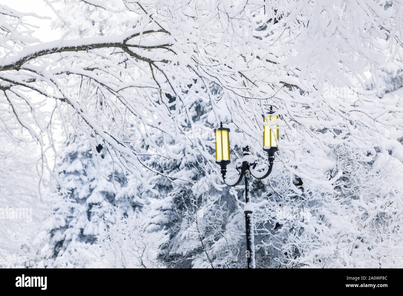 Beautiful snowy city park hi-res stock photography and images - Alamy