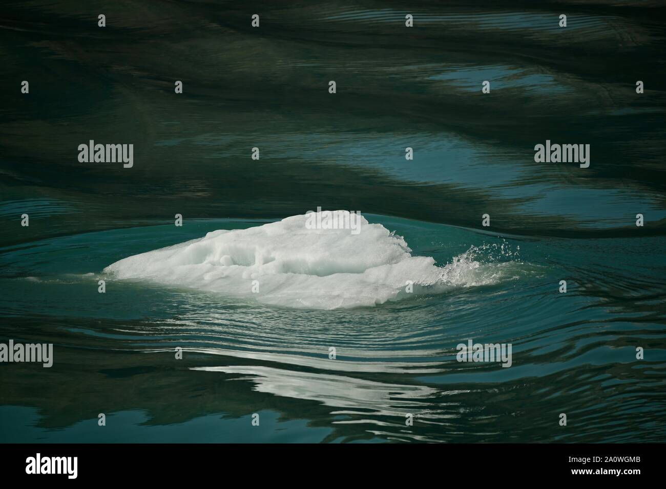 floating ice block reflected in the green waters of Glacier Bay Stock ...