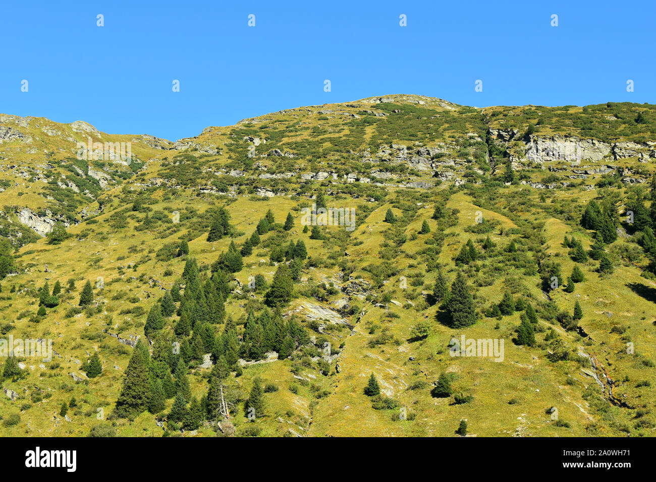Road through the alps hi-res stock photography and images - Alamy