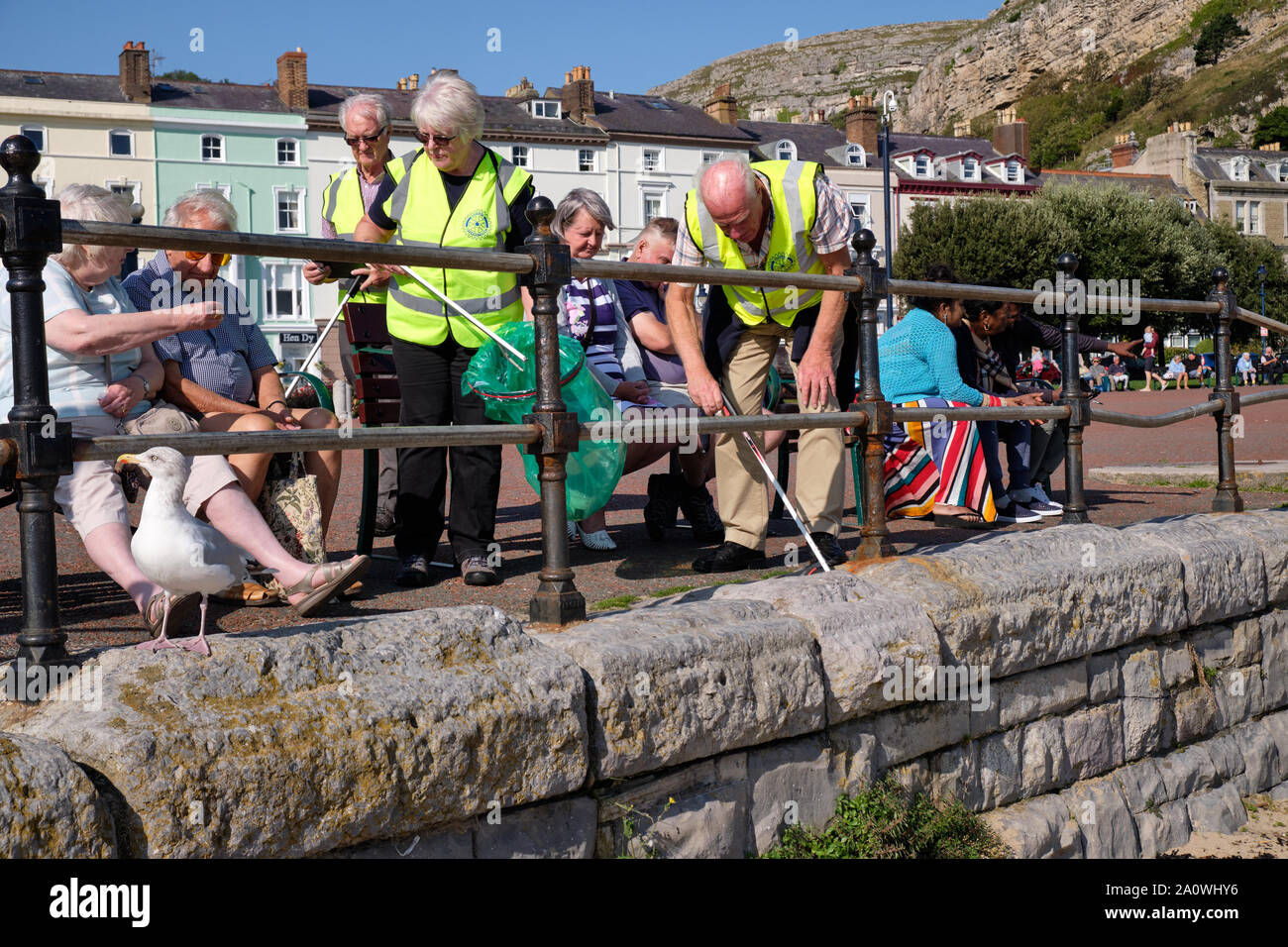 Llandudno,  UK. 21st September 2019.  People of all ages gather for the annual beach cleaning and data collecting event on a beautiful sunny autumn Stock Photo