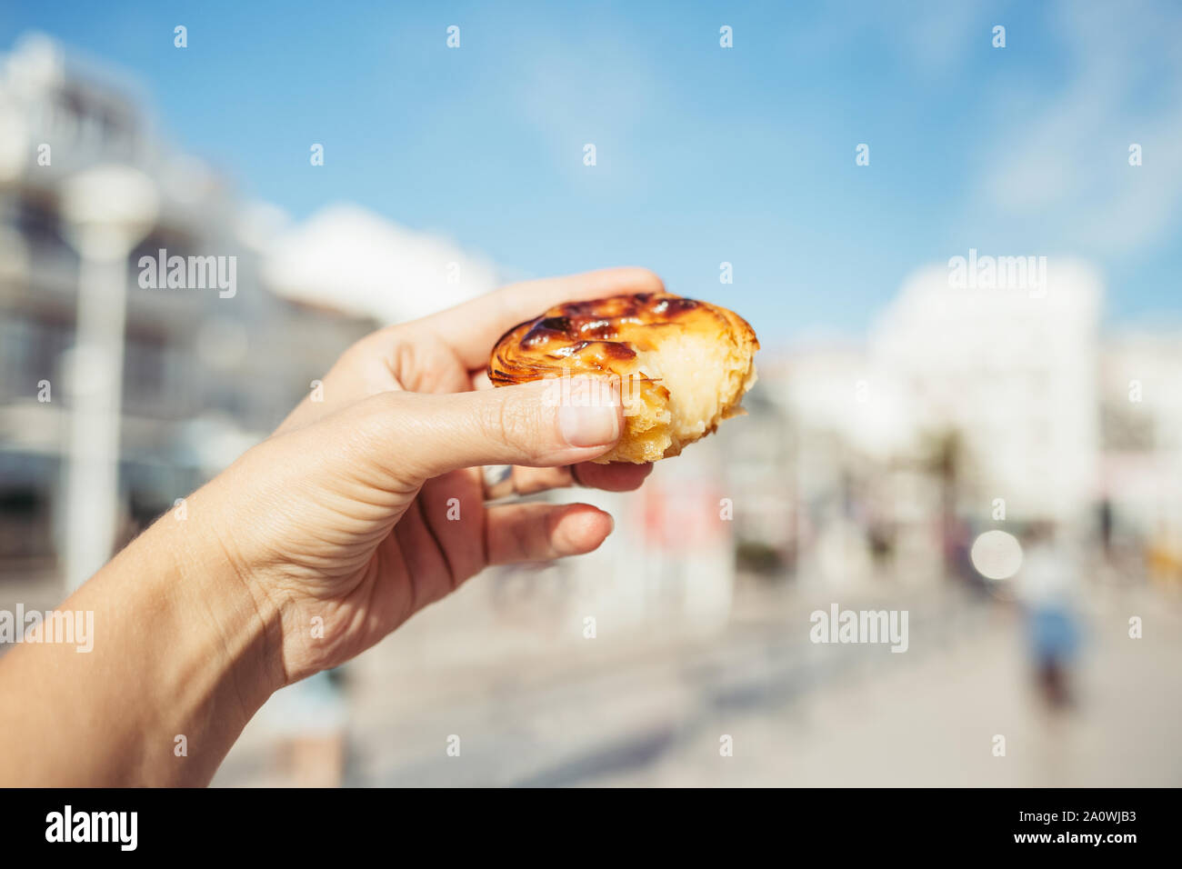 traditional-portuguese-desserts-in-woman-s-hand-pastel-de-nata-stock