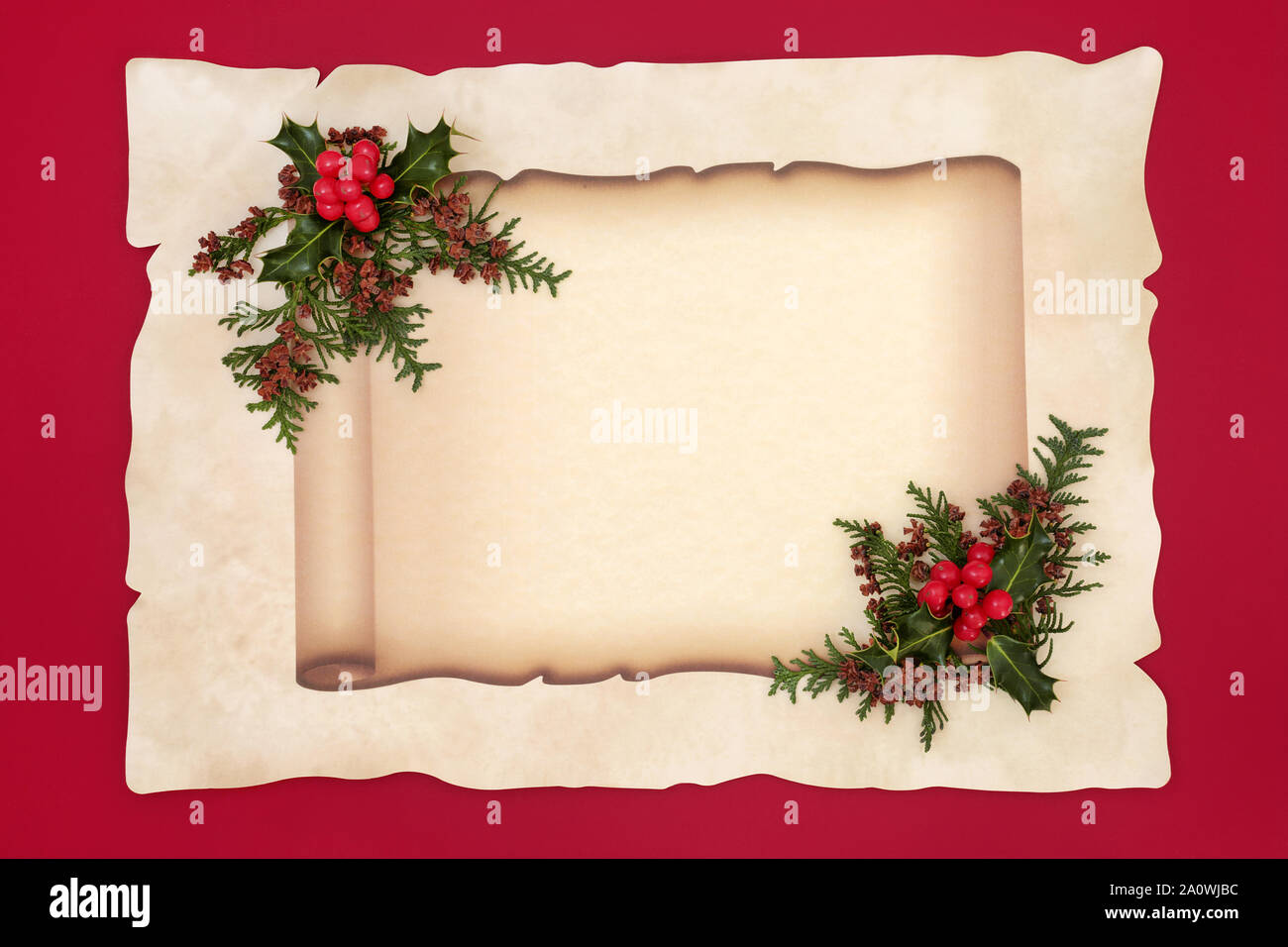 https://c8.alamy.com/comp/2A0WJBC/holly-berry-and-cedar-cypress-leaf-sprigs-on-old-scroll-and-parchment-paper-on-red-background-document-for-a-christmas-or-winter-theme-2A0WJBC.jpg