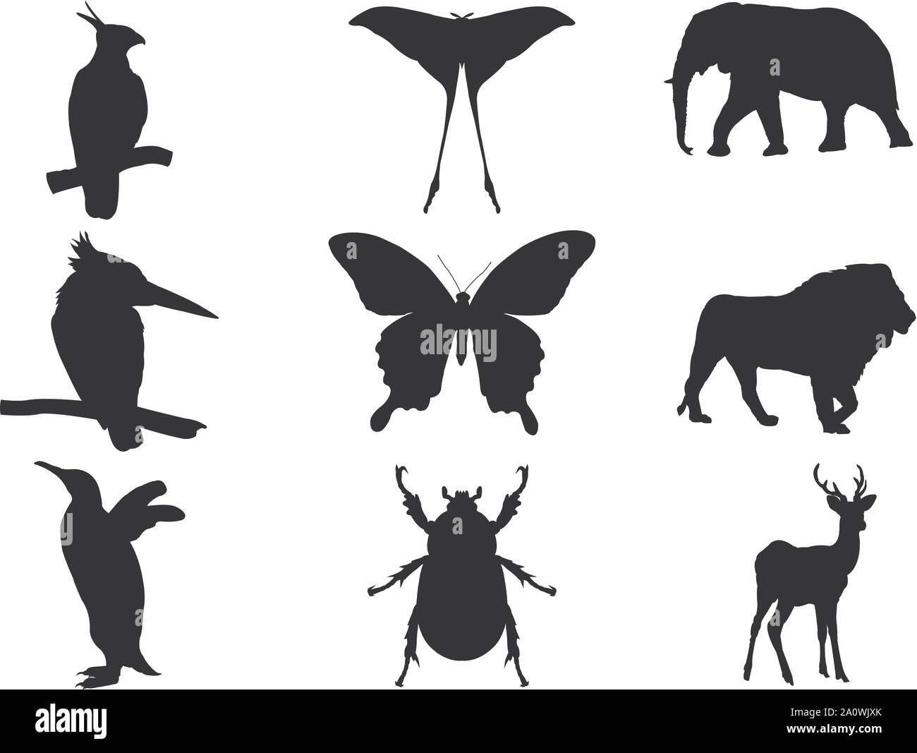 Wild animals black silhouettes, Bird, insect and wildlife vector