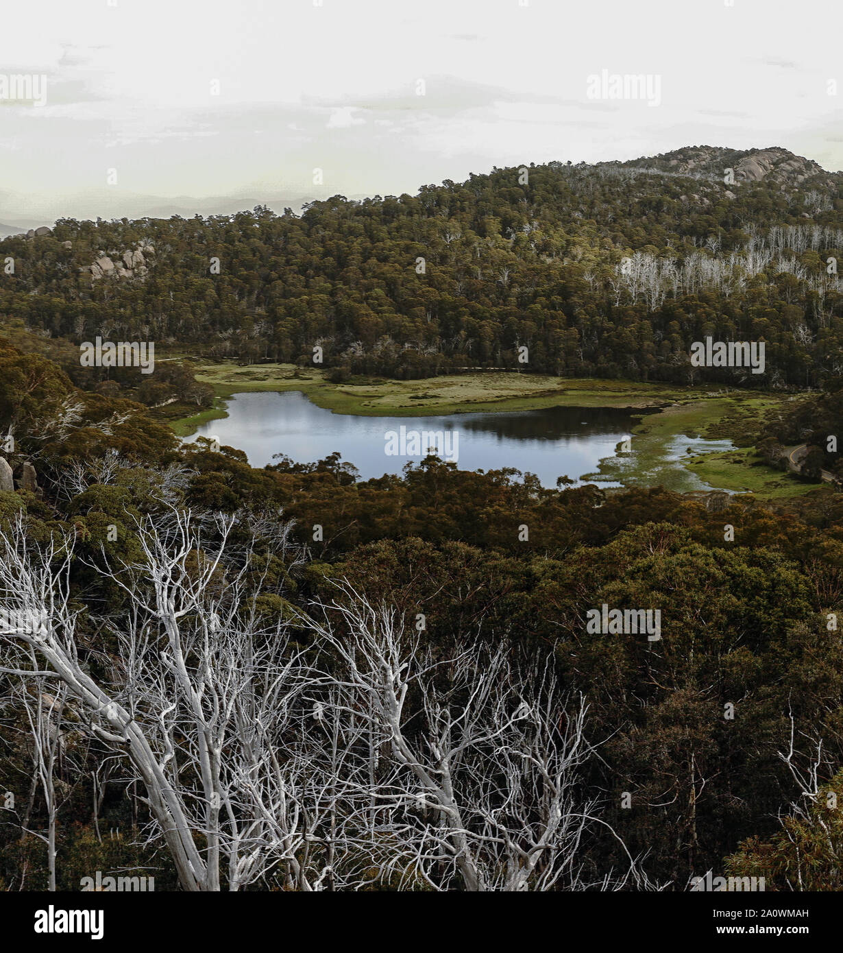 Large Lake formed in the rugged bush land on a cloudy day in the High Country of Australia Mt Buffalo Lake Catani Stock Photo