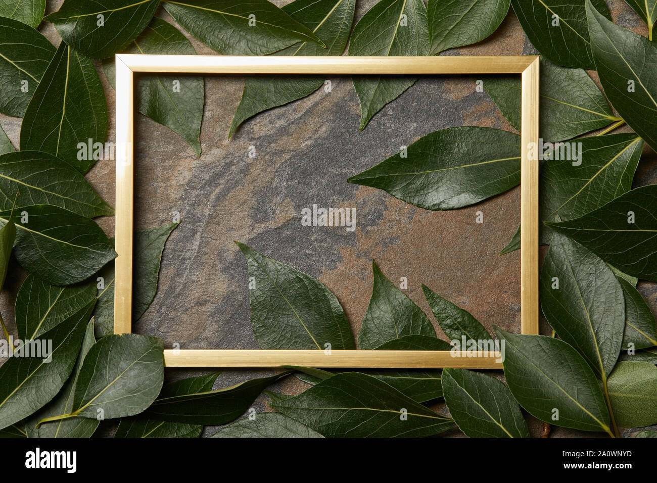 top view of golden frame on stone background with copy space and green ...