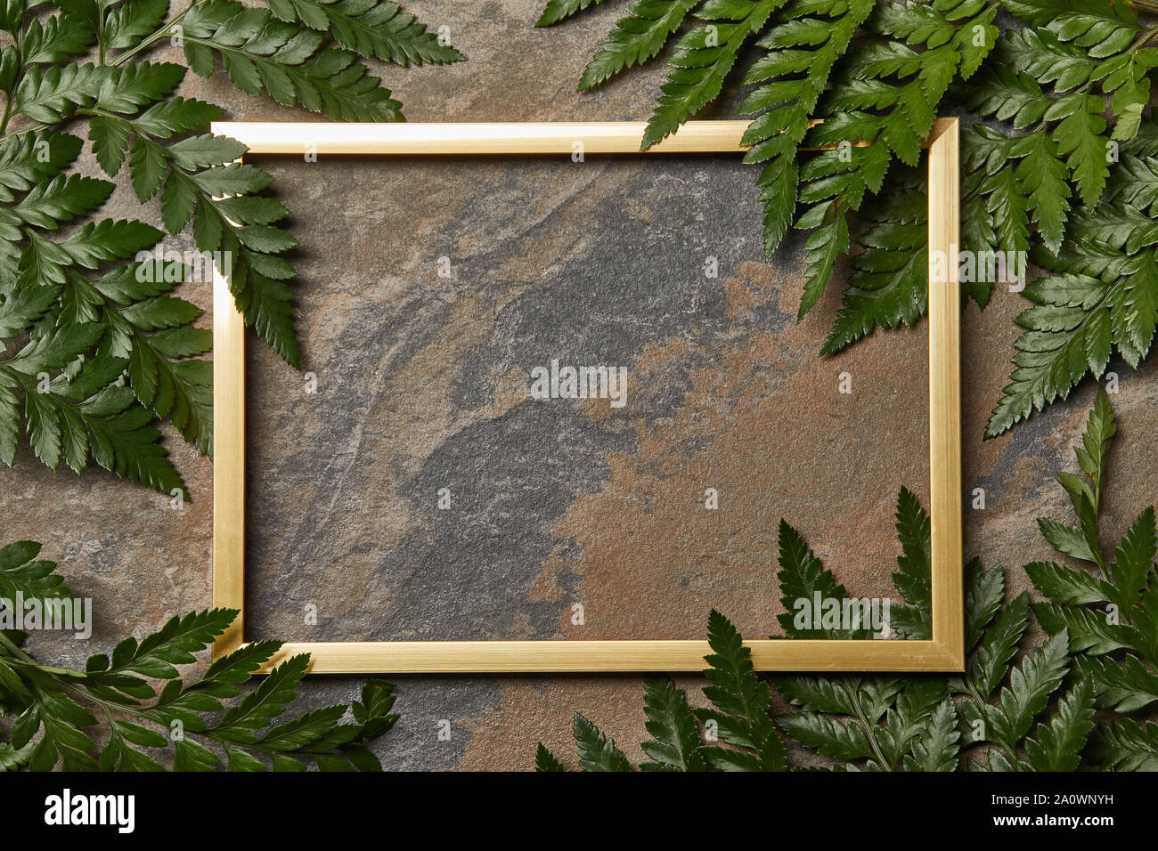 empty golden frame on stone background with copy space and green fern ...