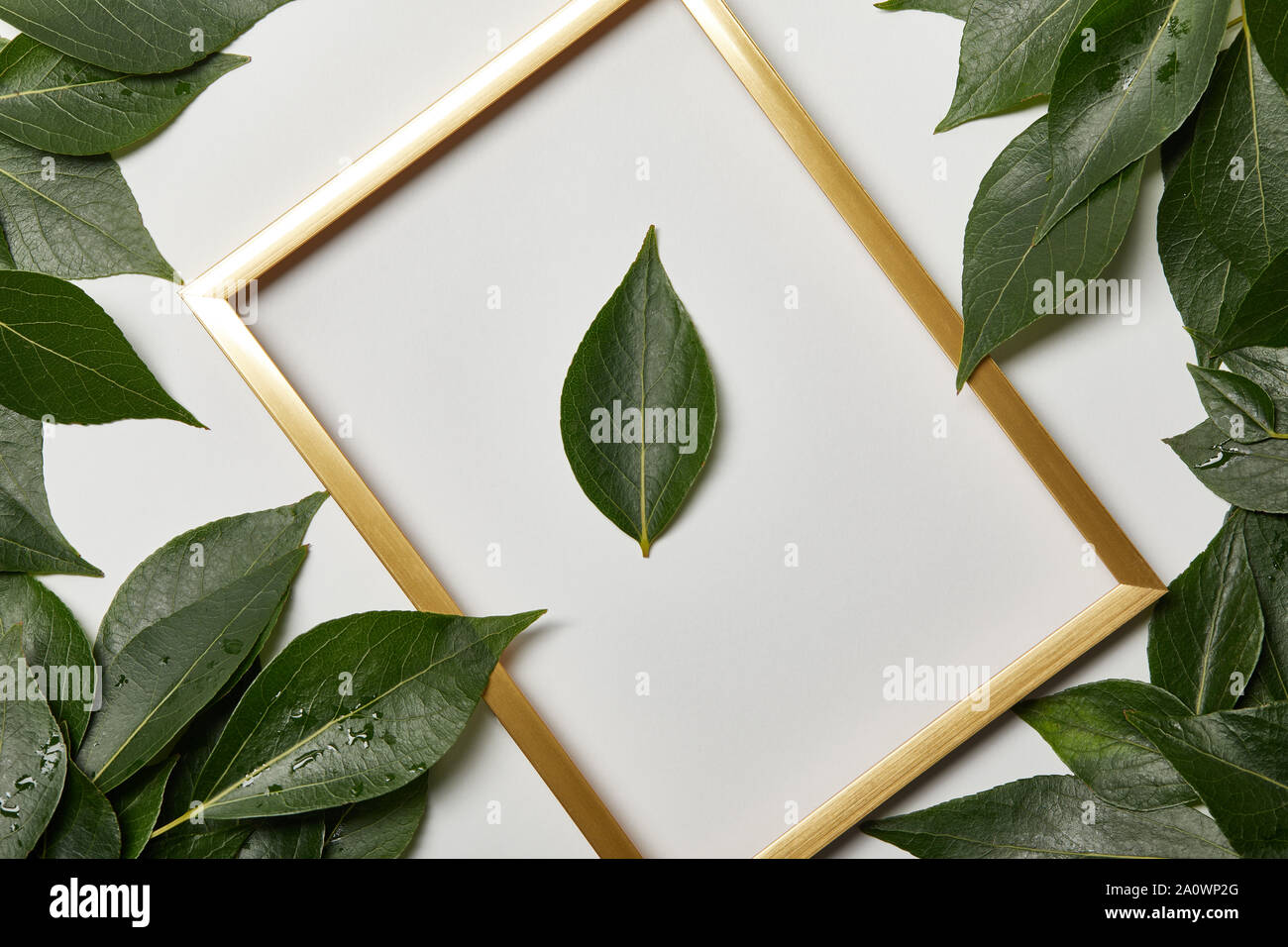 empty golden frame on white background with copy space and green leaves ...