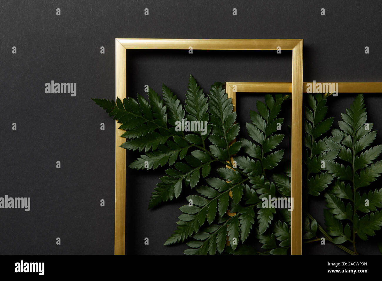 top view of golden frames on black background with copy space and green ...