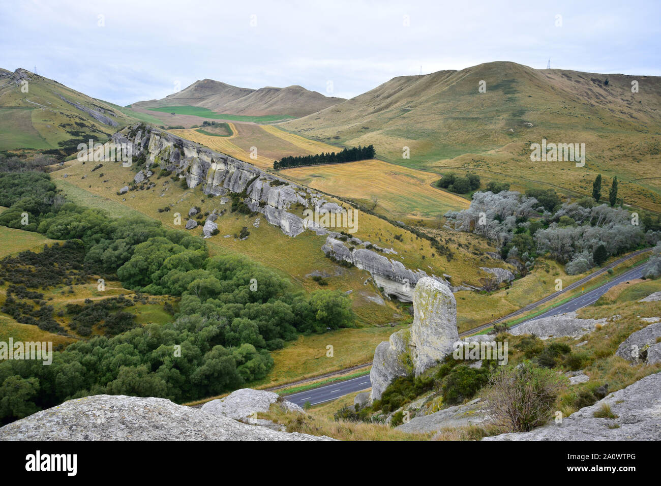 A landscape in New Zealand with the limestone rock formation near the Weka pass, Hurunui district, South Island. A row of trees in the middle. Stock Photo