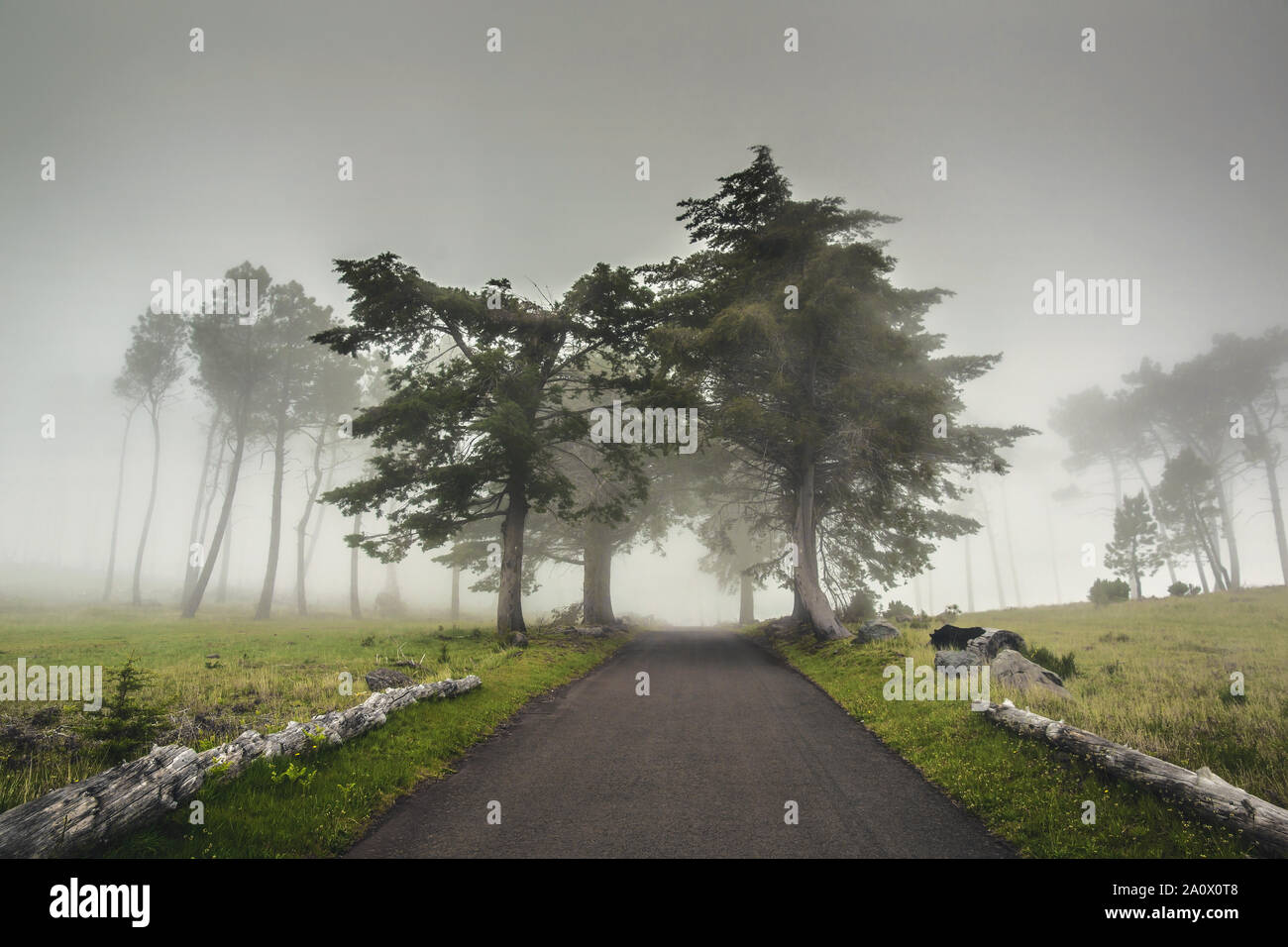 Mysterious foggy road hi-res stock photography and images - Alamy