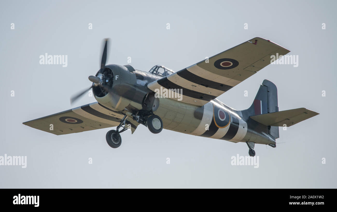 WW2 Royal Navy liveried Grumman Wildcat flying display at IWM Duxford 2019 Battle of Britain air show, Cambridgeshire, England, UK Stock Photo