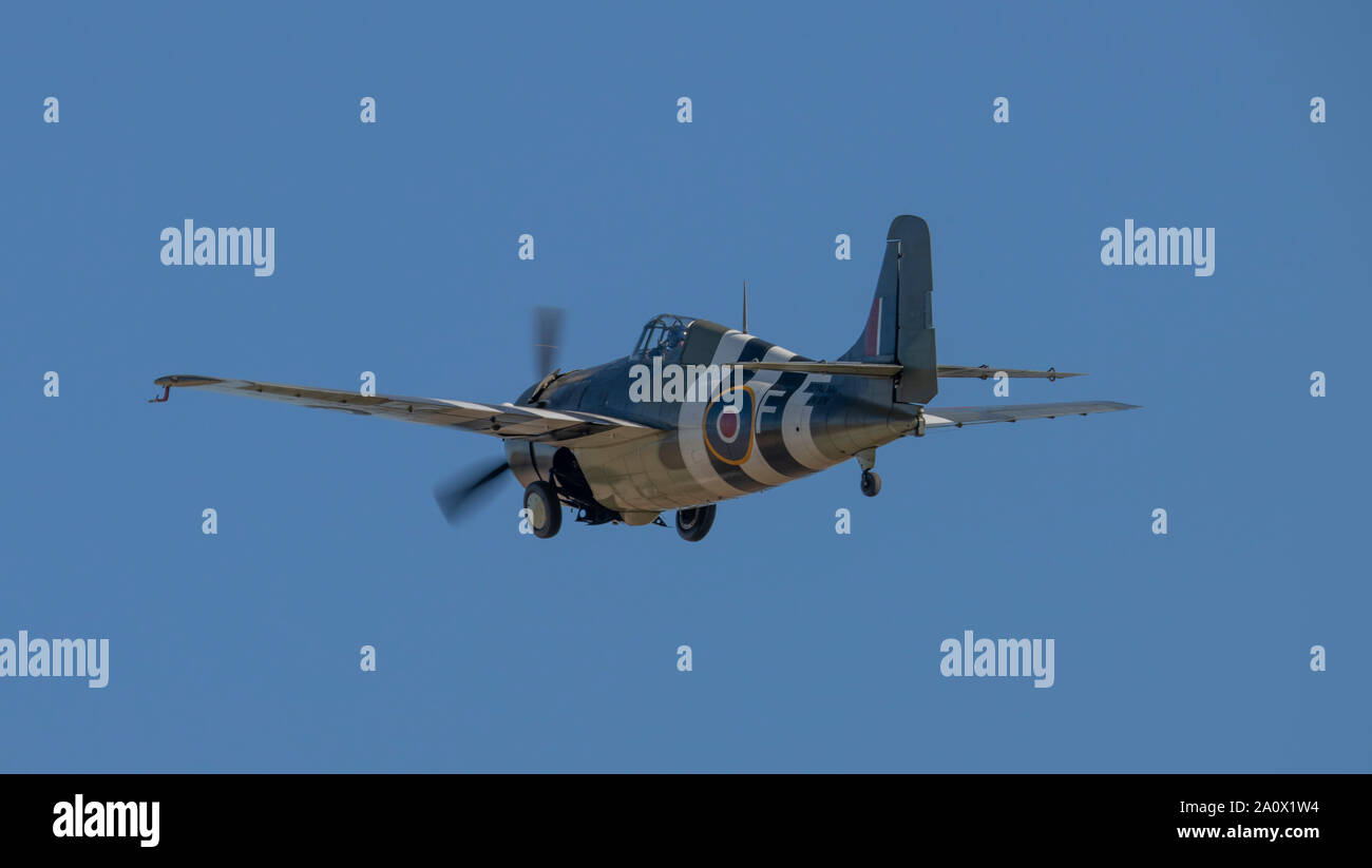 WW2 Royal Navy liveried Grumman Wildcat flying display at IWM Duxford 2019 Battle of Britain air show, Cambridgeshire, England, UK Stock Photo