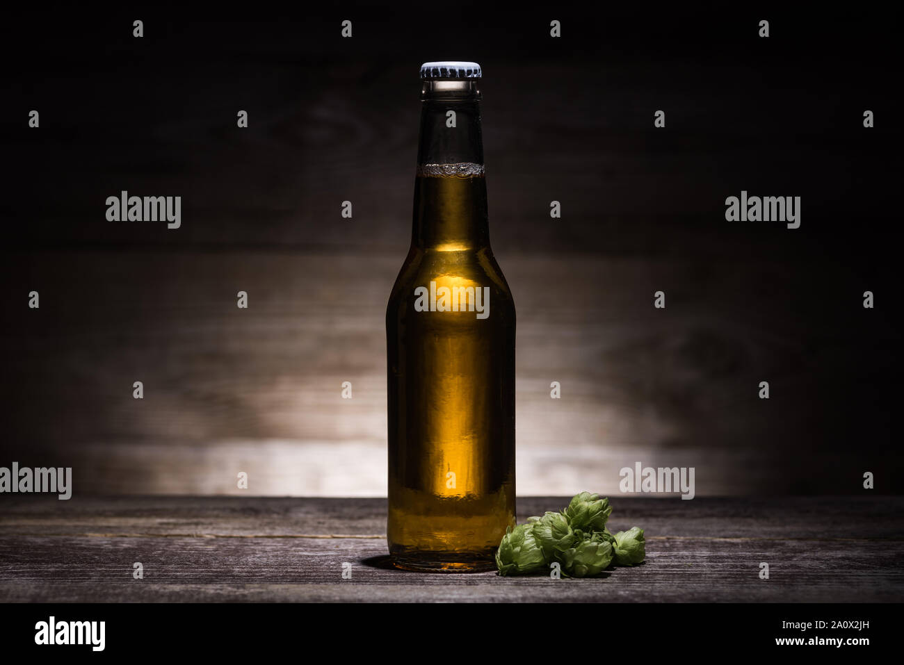beer in bottle with hop on wooden table in darkness with back light Stock Photo