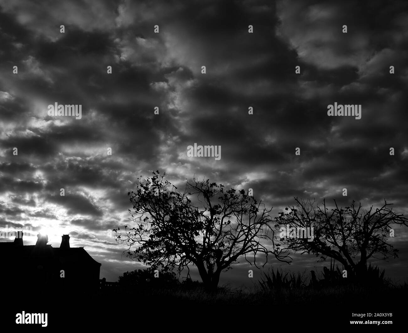 Sunrise with cloudy sky, house and backlit trees, black and white mode Stock Photo