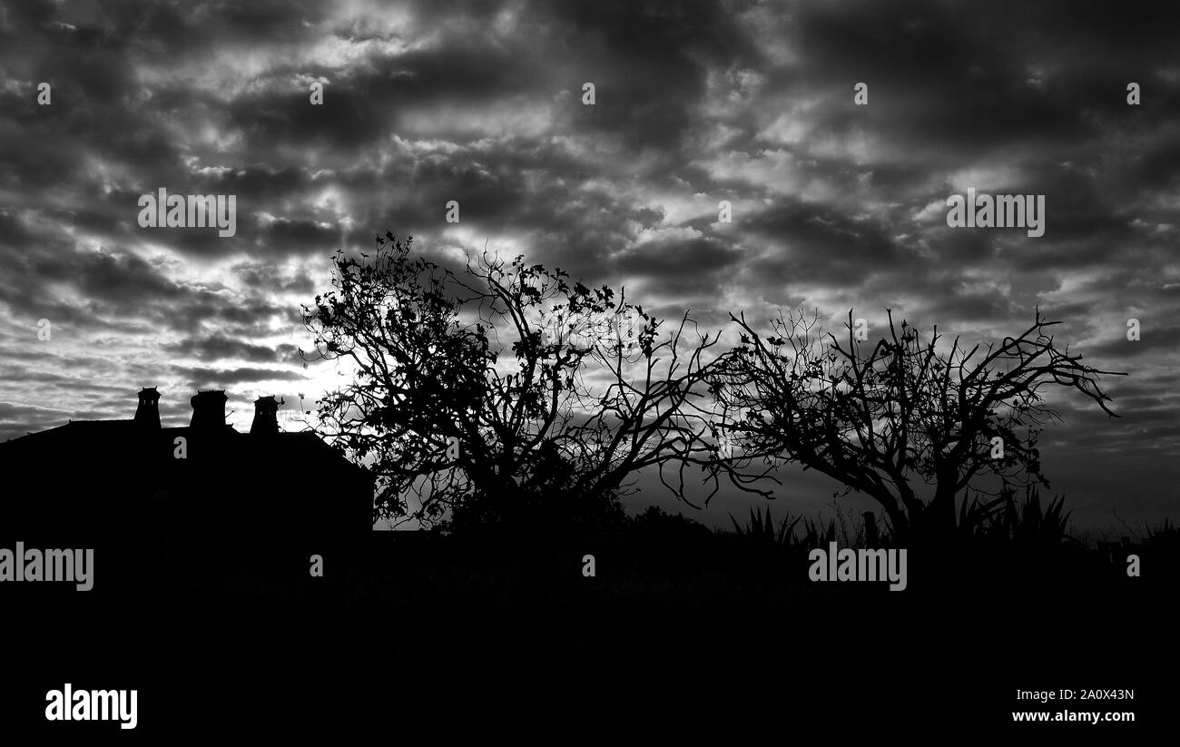 Backlit trees, house and cloudy sky at dawn, black and white mode Stock Photo