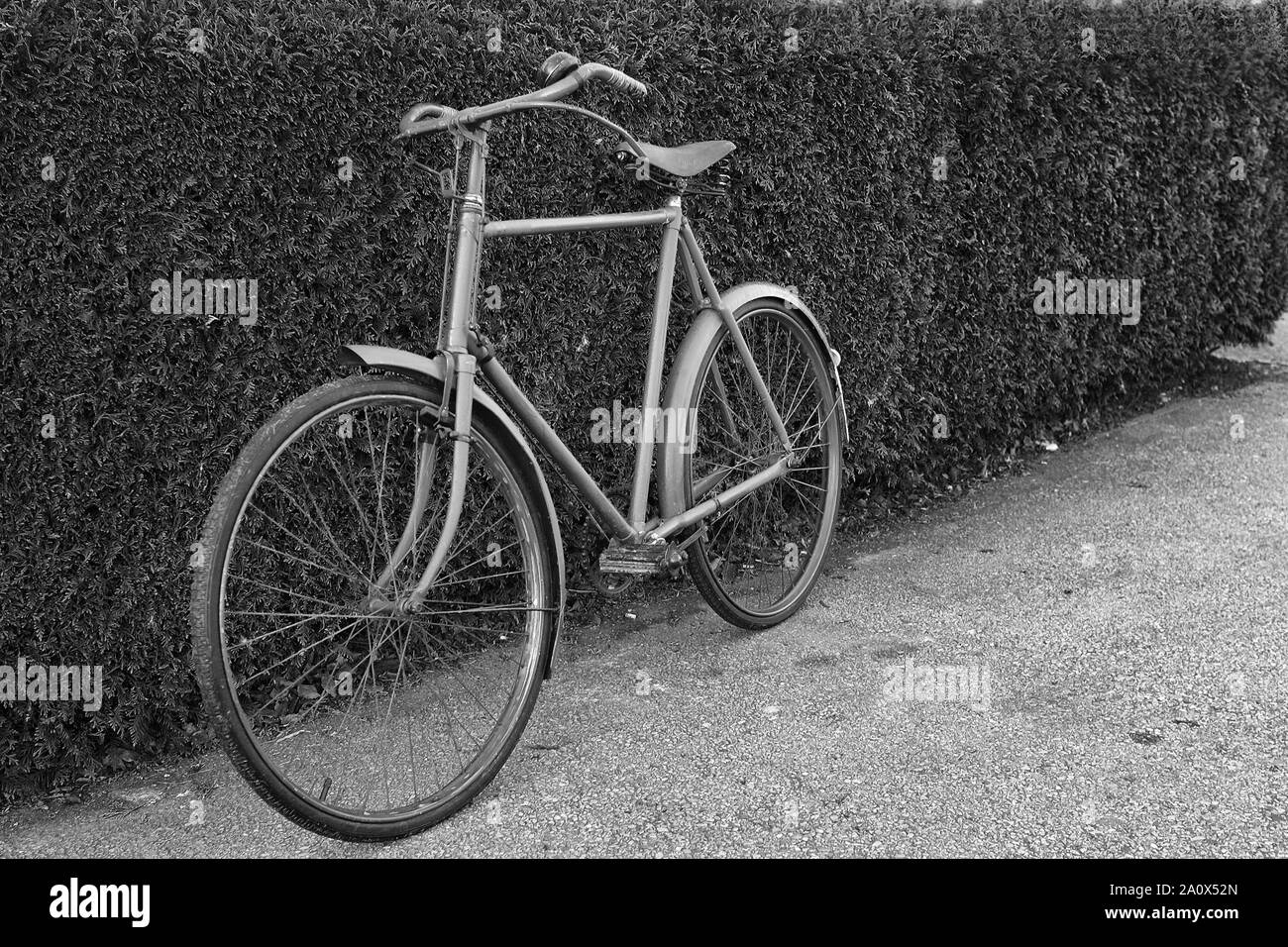 September 2019 - 1940's ex military bicycle at the Goodwood revival race meeting Stock Photo