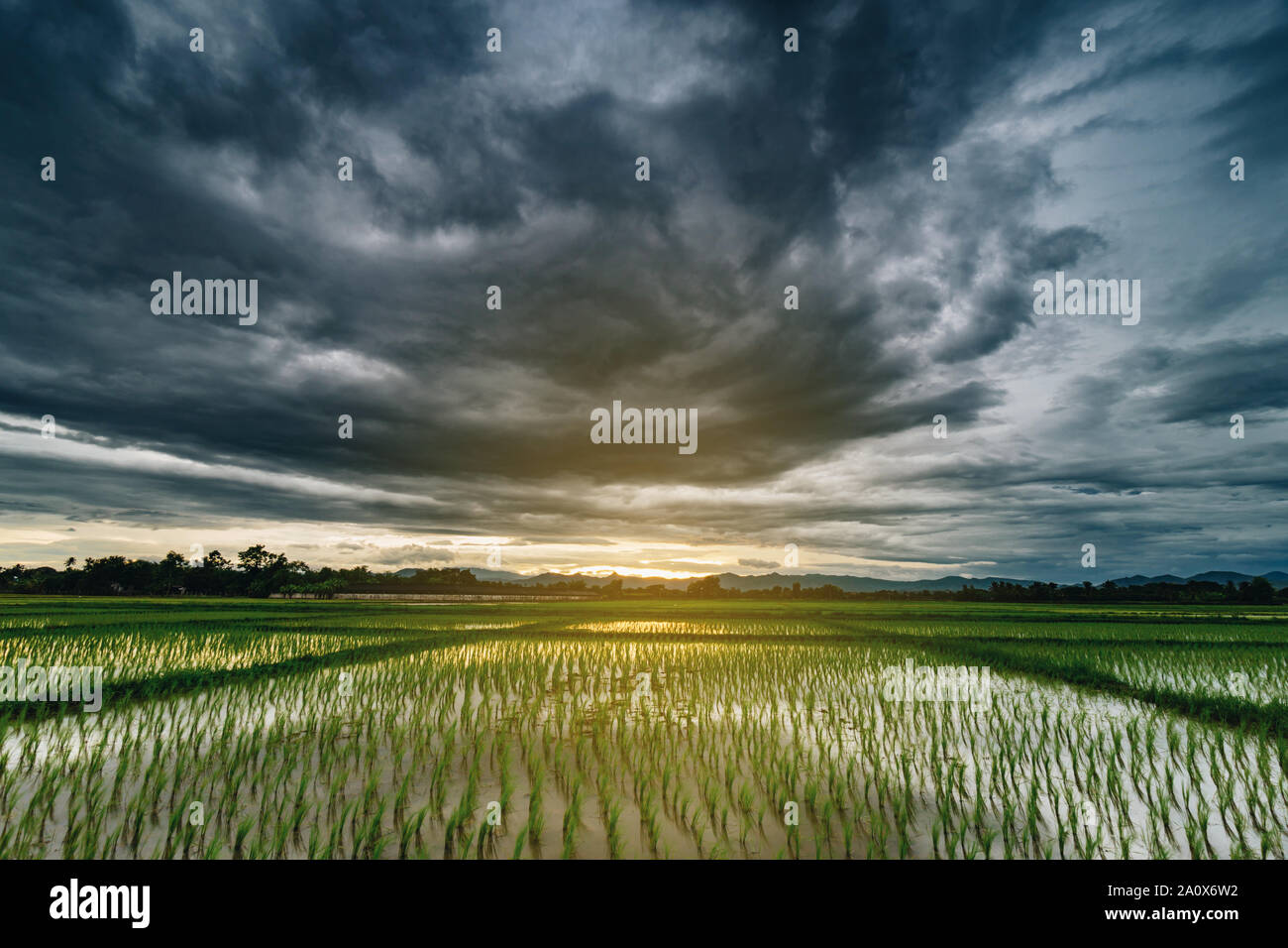 Natural scenic beautiful field and storm clouds and green field agricultural background Stock Photo