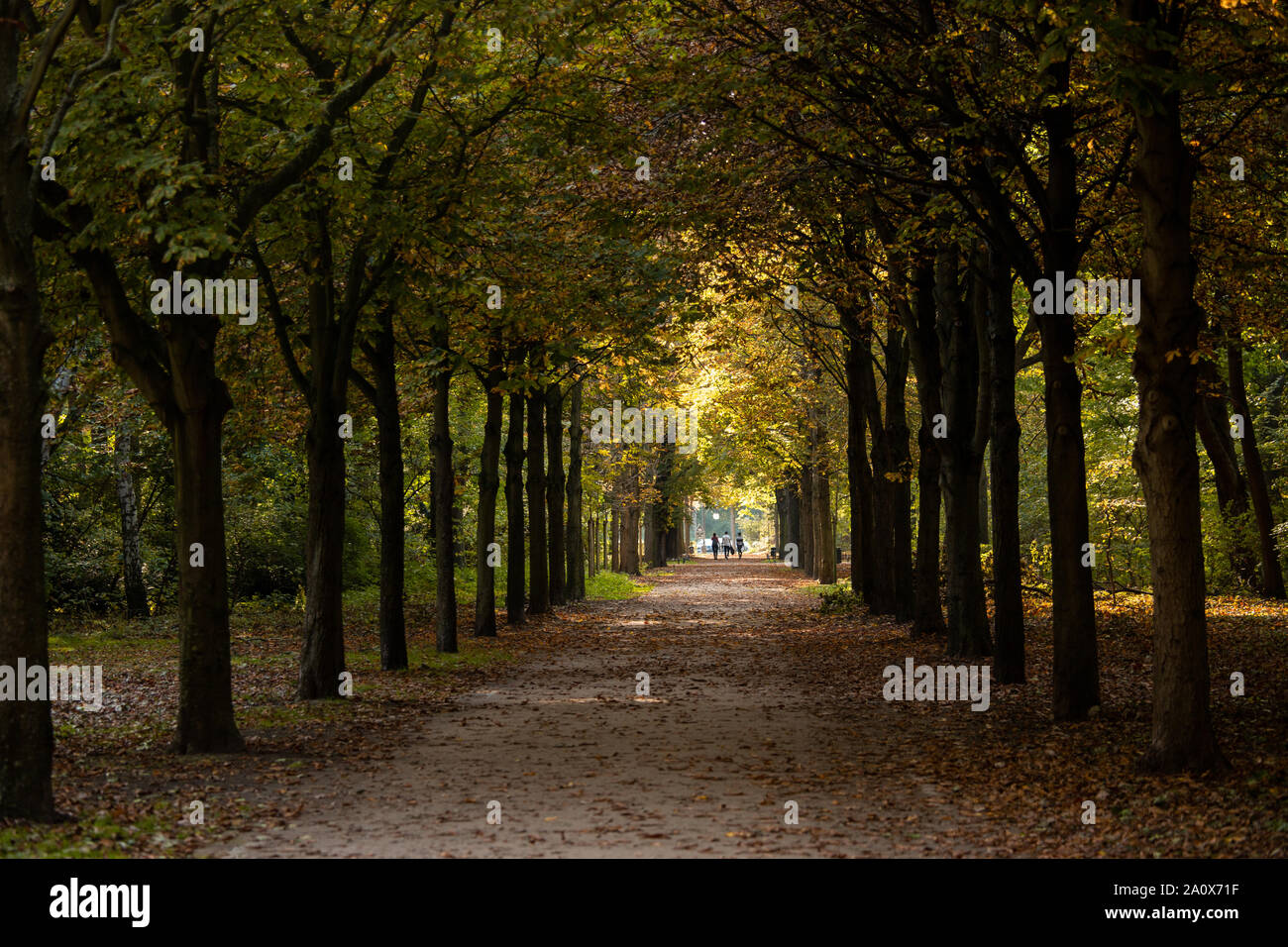 Autumn in the Tiergarten park in Berlin Stock Photo