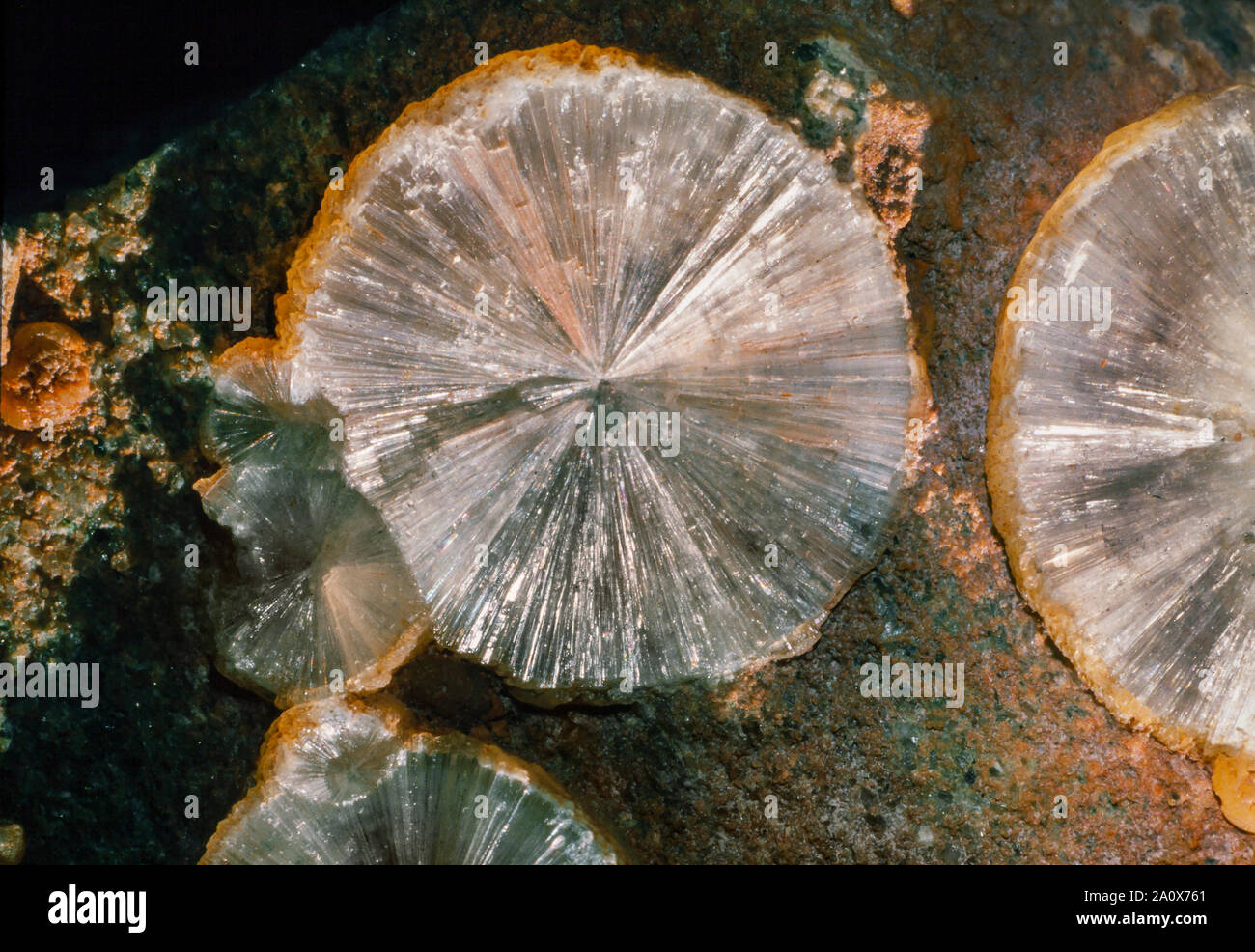 Wavellite crystals, Devonite, sun like radial circular needles Stock Photo
