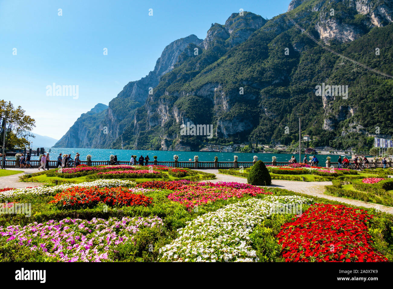 Colourful flowerbeds and mountains, Lake Garda, Riva del Garda, Trentino, Alto Adige, Northern Italy Stock Photo