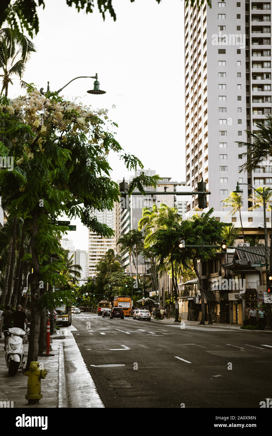 Oahu, Hawaii - August 23rd 2019: Afternoon sunlight on the palm-lined streets of Waikiki. Stock Photo