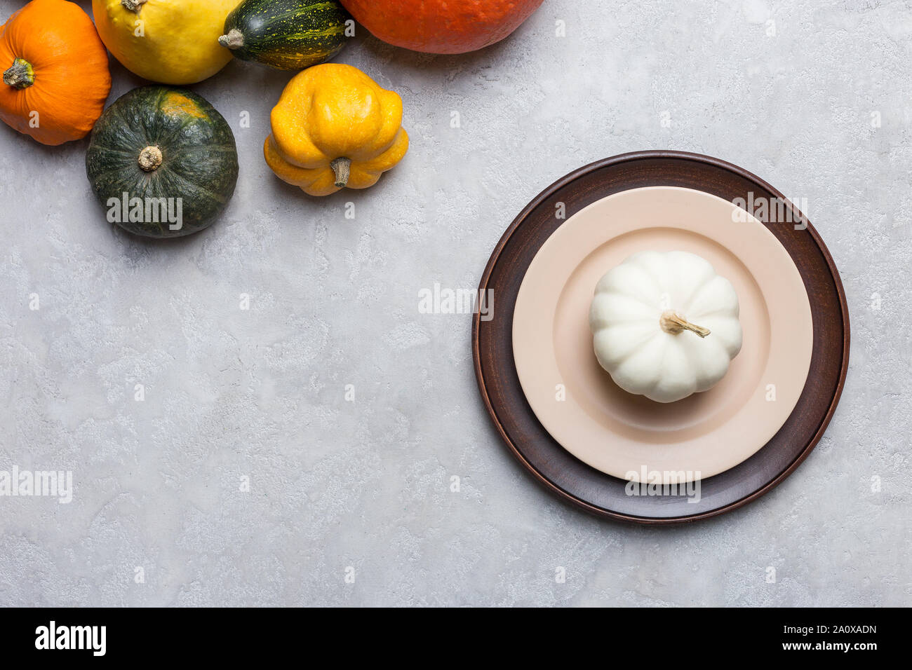Serving plate with white pumpkin on empty plate. Different kind of pumpkins in the corner. Concept of crop, thanksgiving dinner and halloween serving Stock Photo