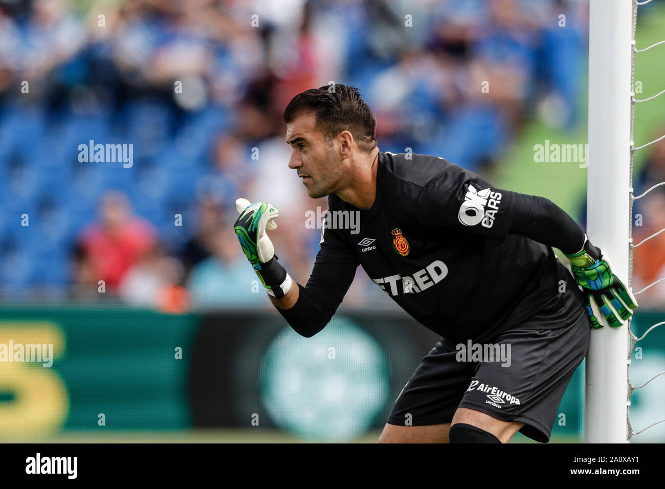 Reina Club High Resolution Stock Photography And Images Alamy Reina Club High Resolution Stock Photography And Images Alamy