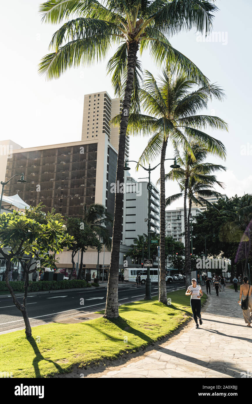 Waikiki beach surfboard palm trees hi-res stock photography and images ...