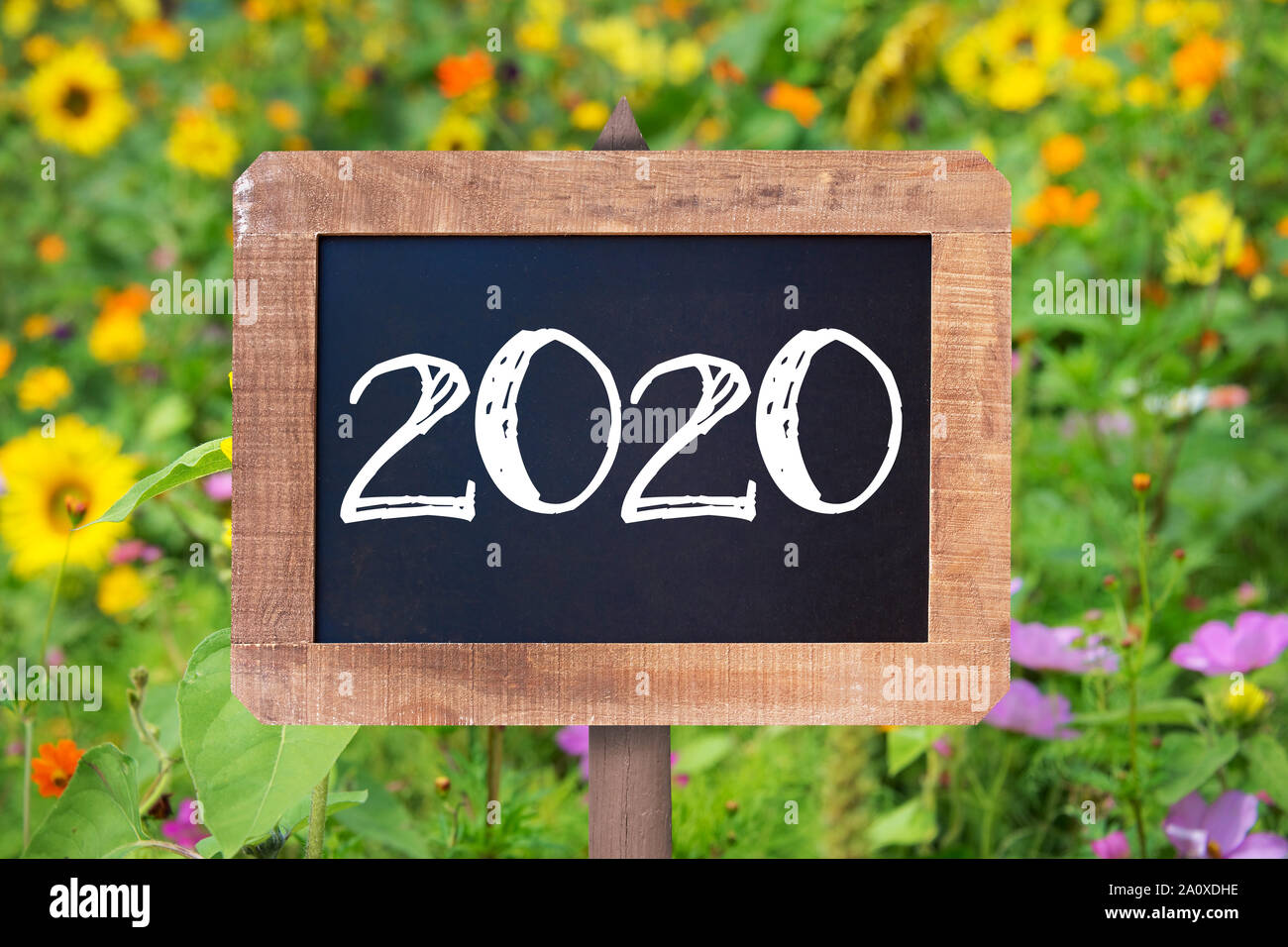 2020 written on a rustic wooden board, summer sunflowers and wild flowers in the background Stock Photo