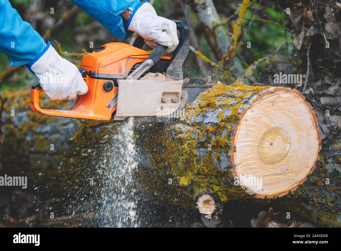 Chainsaw Chain High Resolution Stock Photography and Images - Alamy