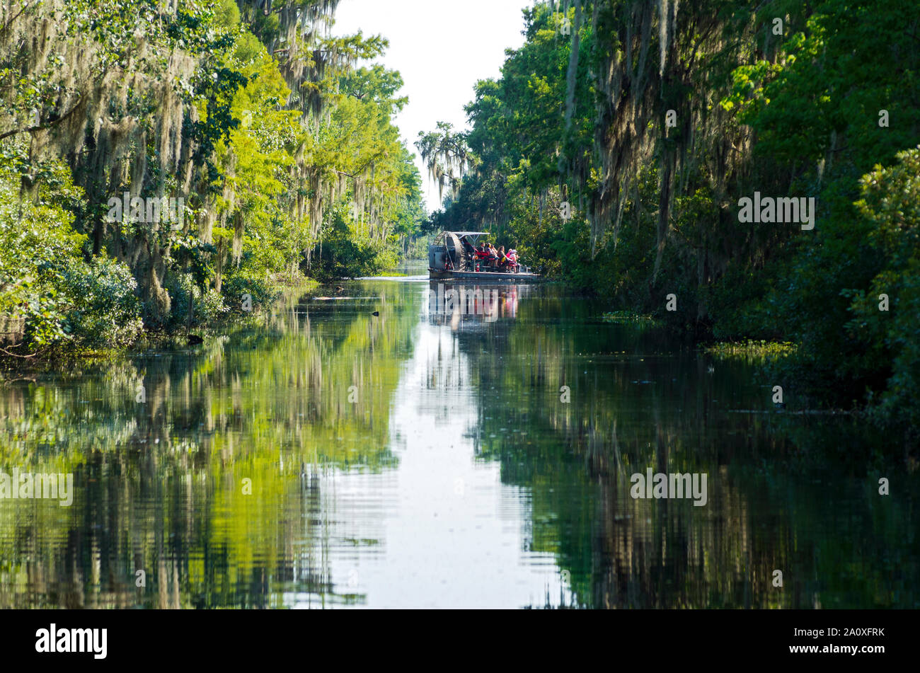 Jean Lafitte National Park, Louisiana/USA June 13, 2019 Airboat