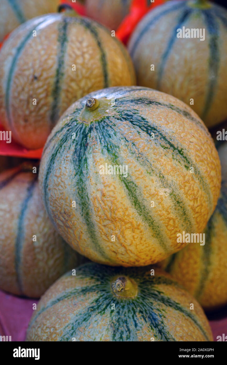 Cantaloupe melons for sale at a French farmers market Stock Photo Alamy