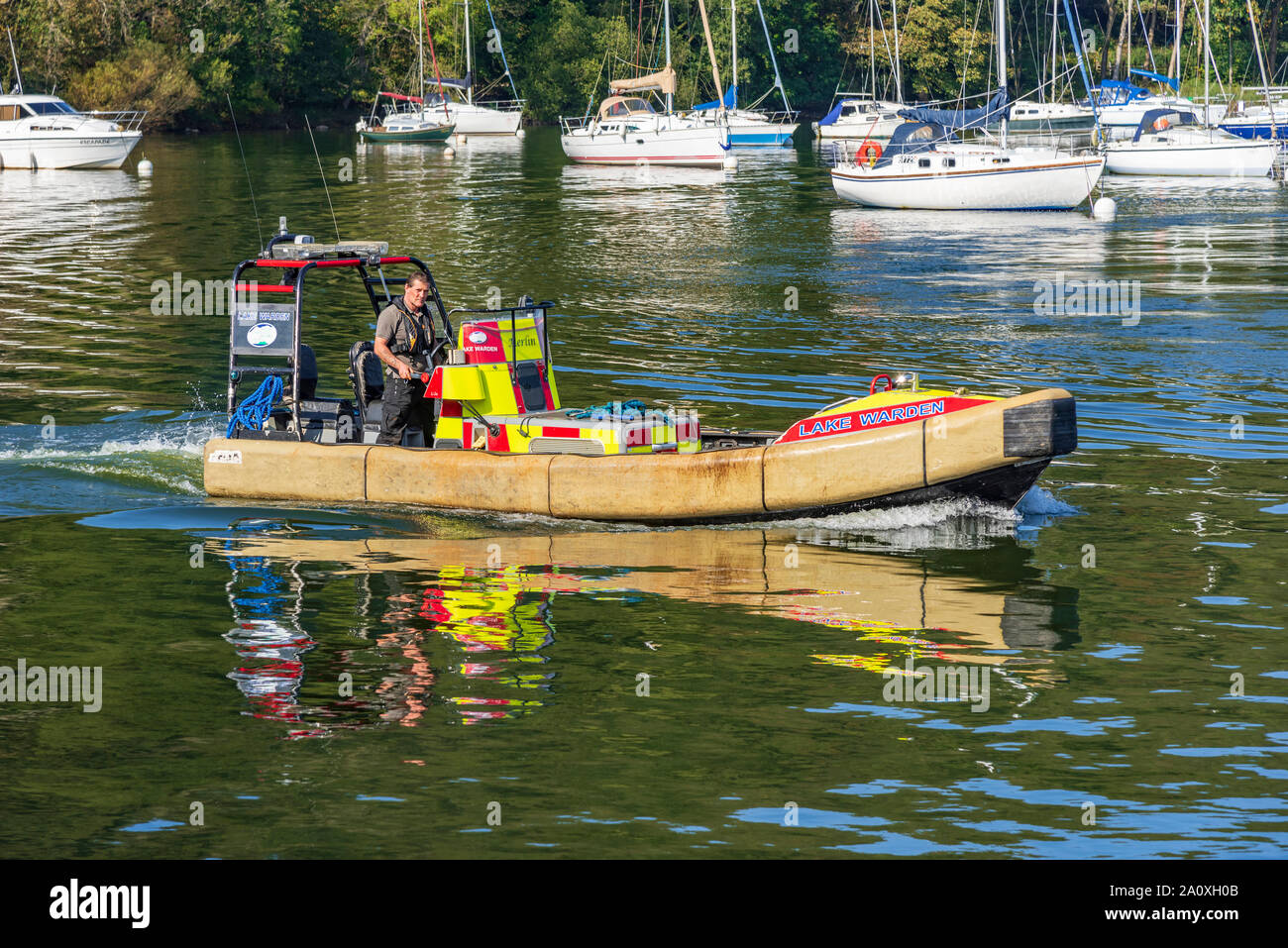 Lake Windermere lake warden on the wardens powerboat launch Mitchell Wyke ferry bay. Stock Photo
