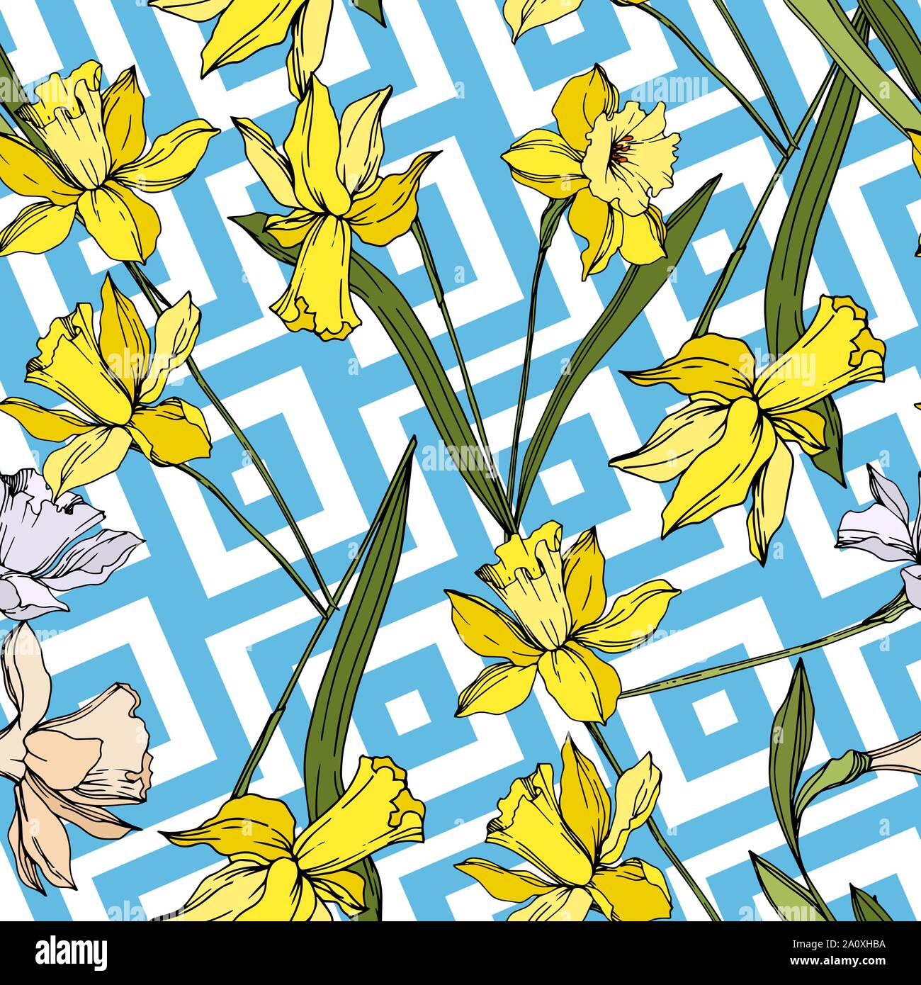 Vector Narcissus floral botanical flowers. Wild spring leaf wildflower ...