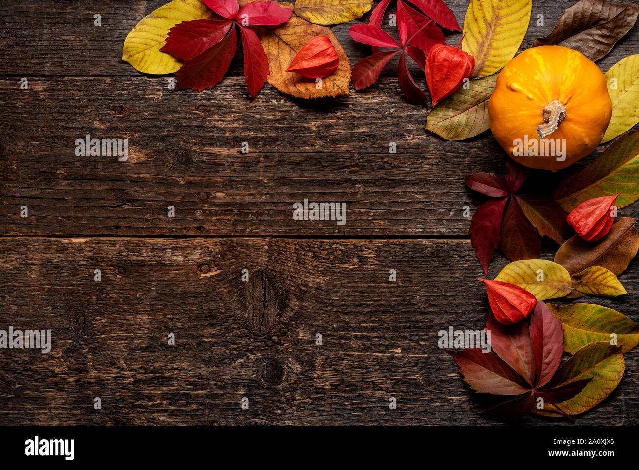 Happy Thanksgiving. Pumpkin and fallen leaves on dark wooden background. Autumn vegetables and seasonal decorations. Autumn Harvest and Holiday still Stock Photo