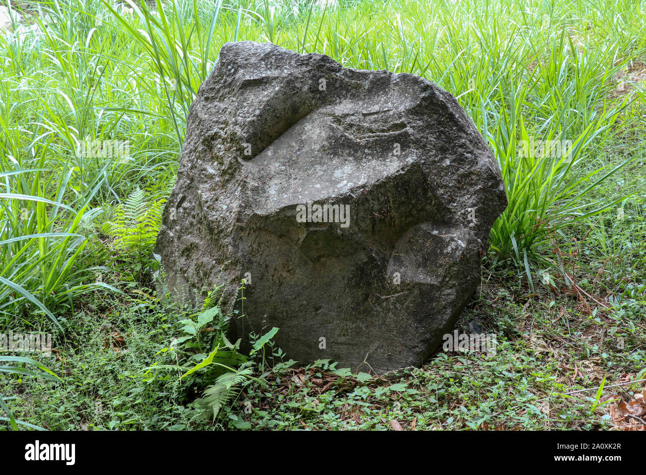 Large Black Stone With Sharp Edges Settled Clay And Covered With Tall Grass The Fresh Green Color Of The Vegetation Contrasts With The Black Boulder Stock Photo Alamy