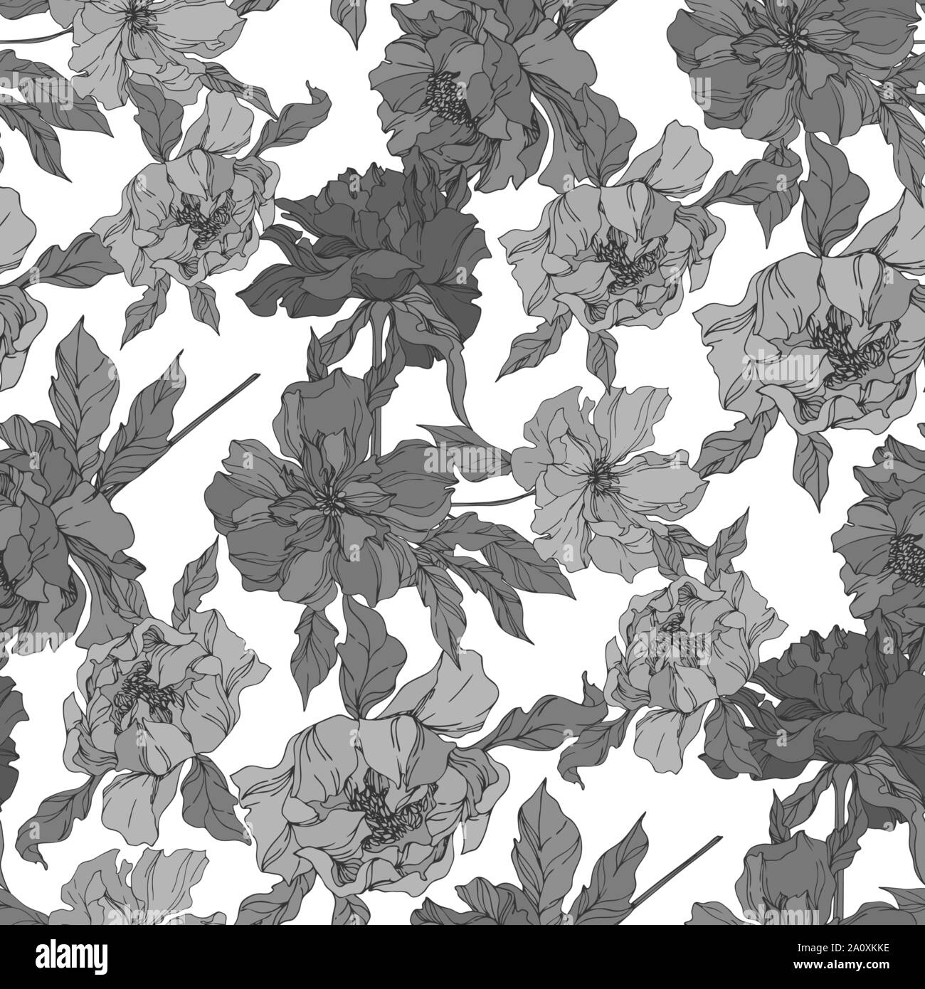 Peony floral botanical flowers. Wild spring leaf wildflower isolated. Black and white engraved ink art. Seamless background pattern. Fabric wallpaper Stock Vector