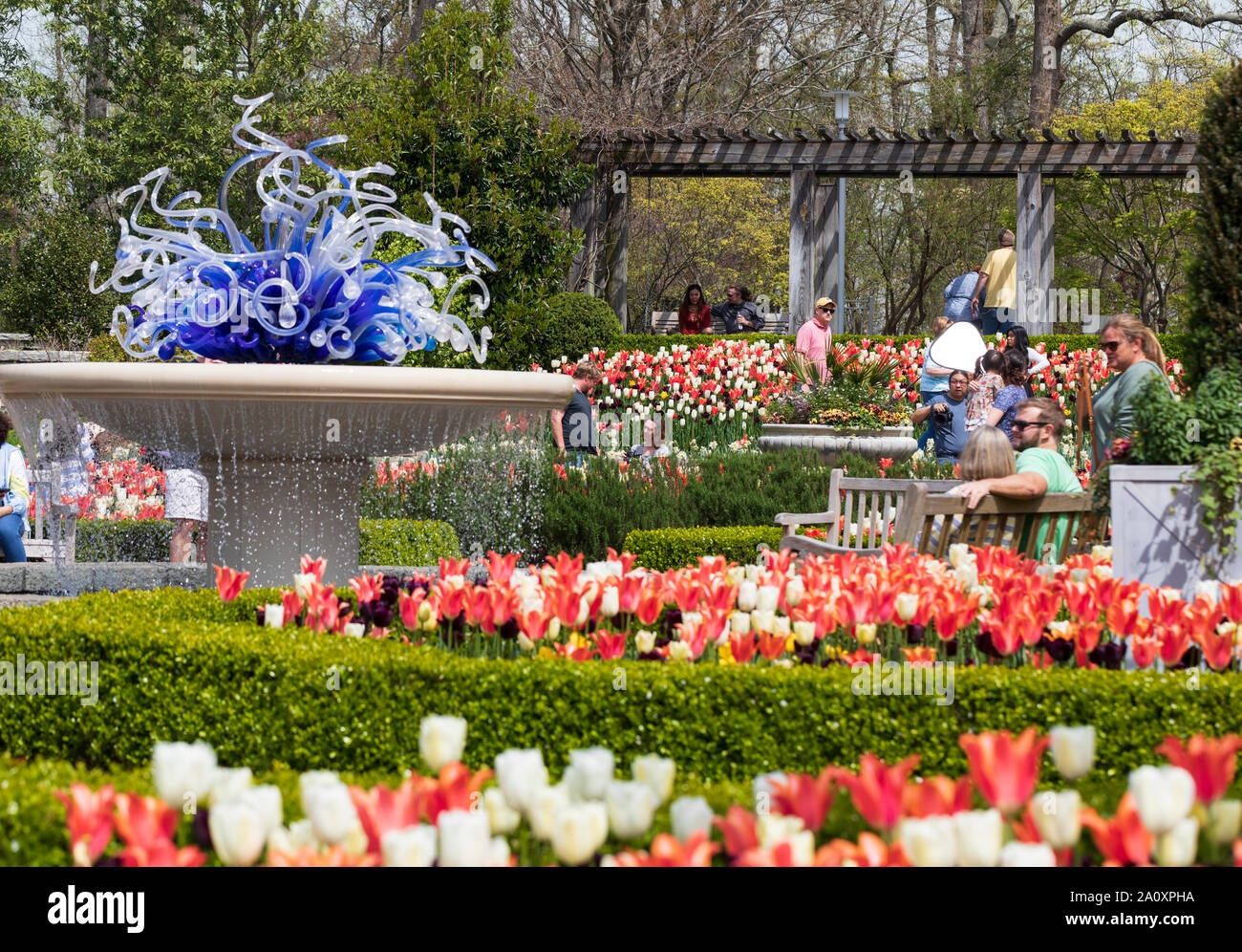 Atlanta Botanical Garden in spring Stock Photo