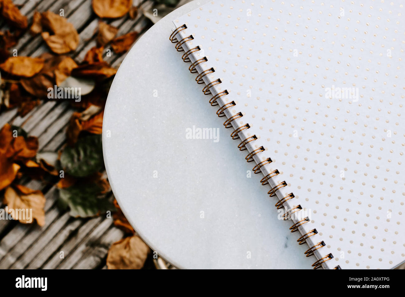 Autumn Flatlay, white background, minimal, acorns, acorn, leaves, blogging photo, gold, minimalistic autumn photo, fall concept,spiral notebook Stock Photo
