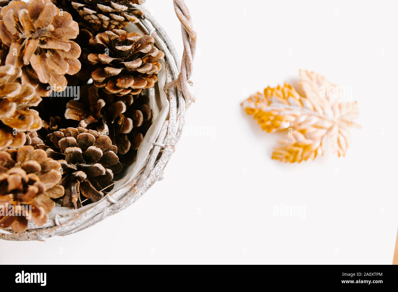 Autumn Flatlay, white background, minimal, acorns, acorn, leaves, blogging photo, gold, minimalistic autumn photo, fall concept Stock Photo